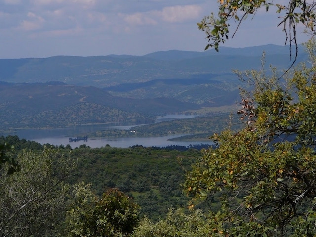 Higuera de la Sierra Asia Aventura Amazonia2.jpg